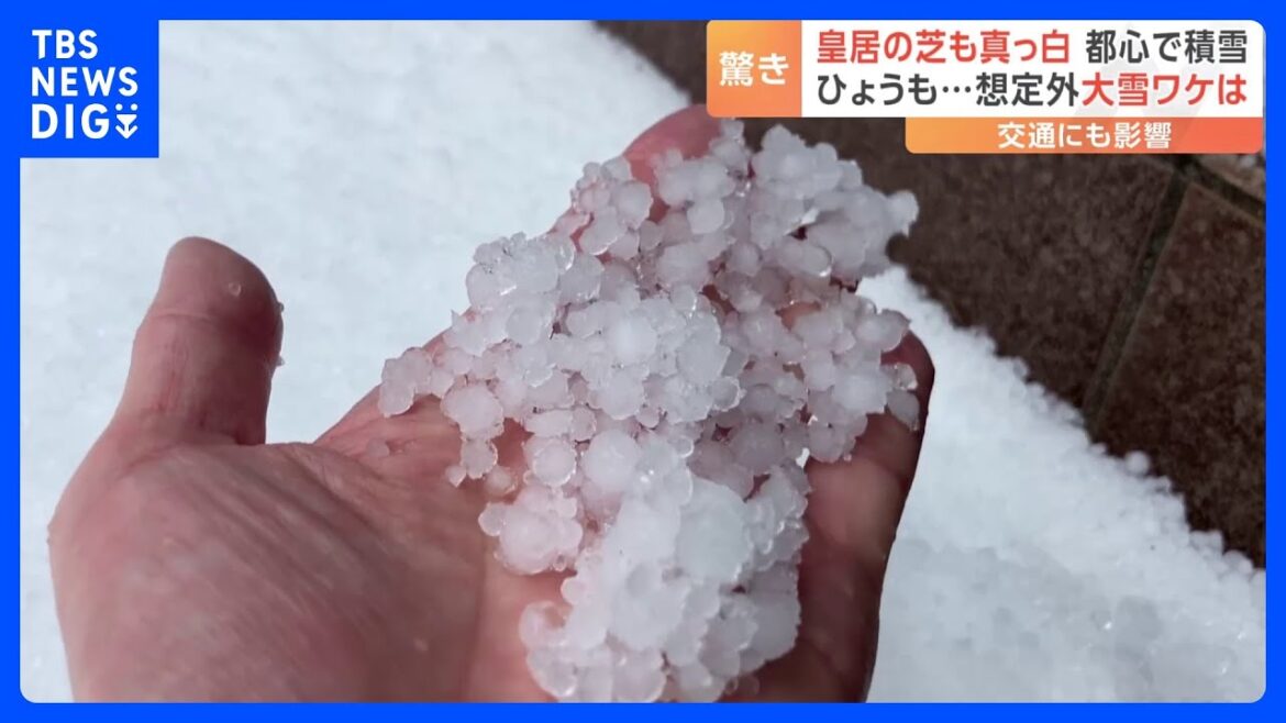 3月の都心に雪が降った！虎ノ門には直径9ミリの雹　“想定外”の雪に気象庁担当者「一言でいうと気温の見積もりが外れた」｜TBS NEWS DIG