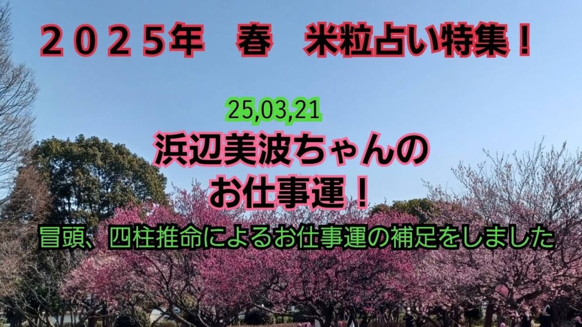 25,03,21浜辺美波ちゃんのお仕事運！～米粒占い(台湾流易学)　冒頭、四柱推命によるお仕事運の補足も～