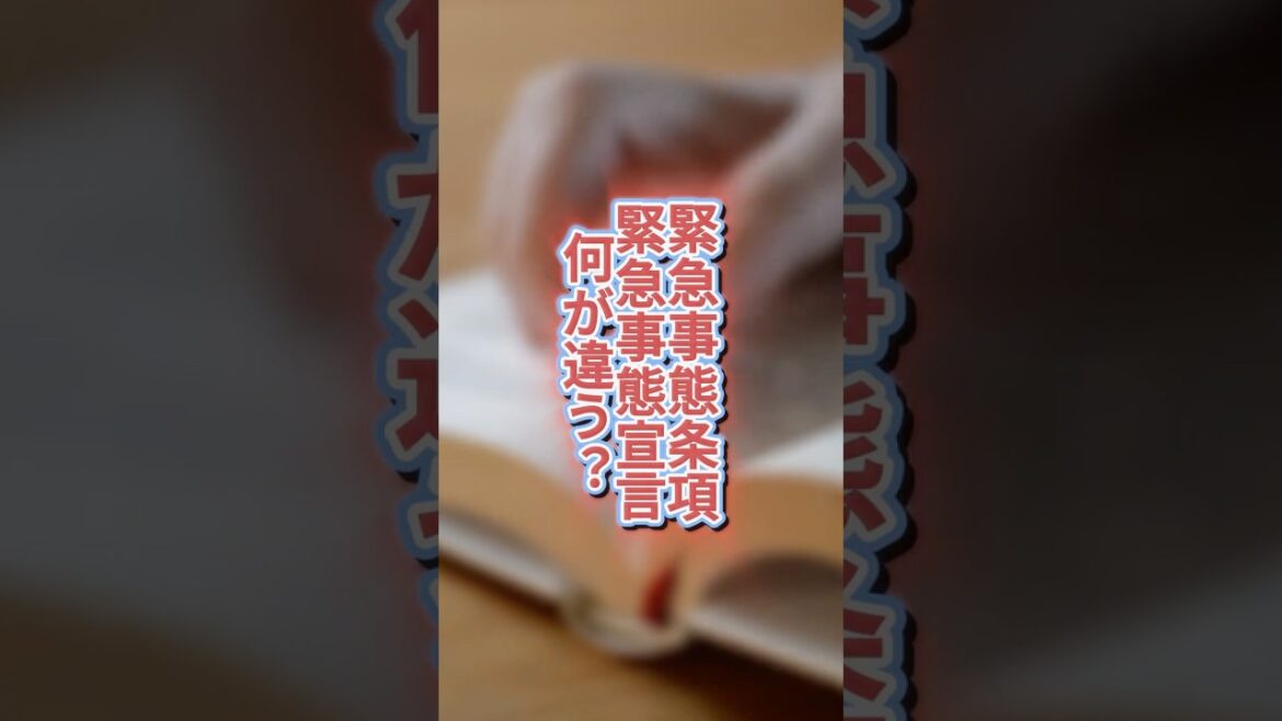 緊急事態条項・緊急事態宣言 何が違う？#政治 #緊急事態条項 #緊急事態宣言