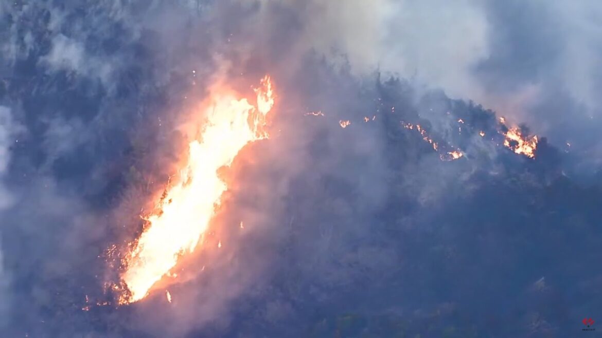 【ライブ配信】山火事発生　愛媛県今治市上空(23日18時頃の様子)