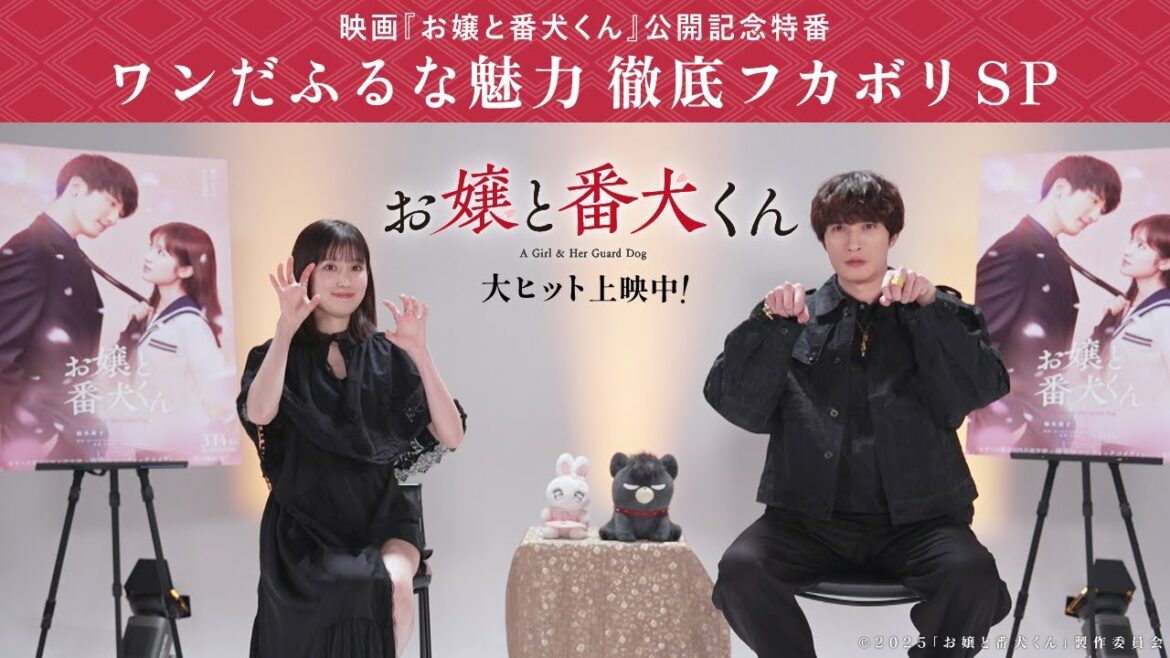 映画『お嬢と番犬くん』公開記念特番 ワンだふるな魅力 徹底フカボリ SP
