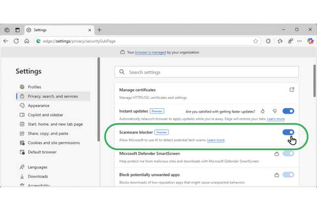 2_microsoft_edge