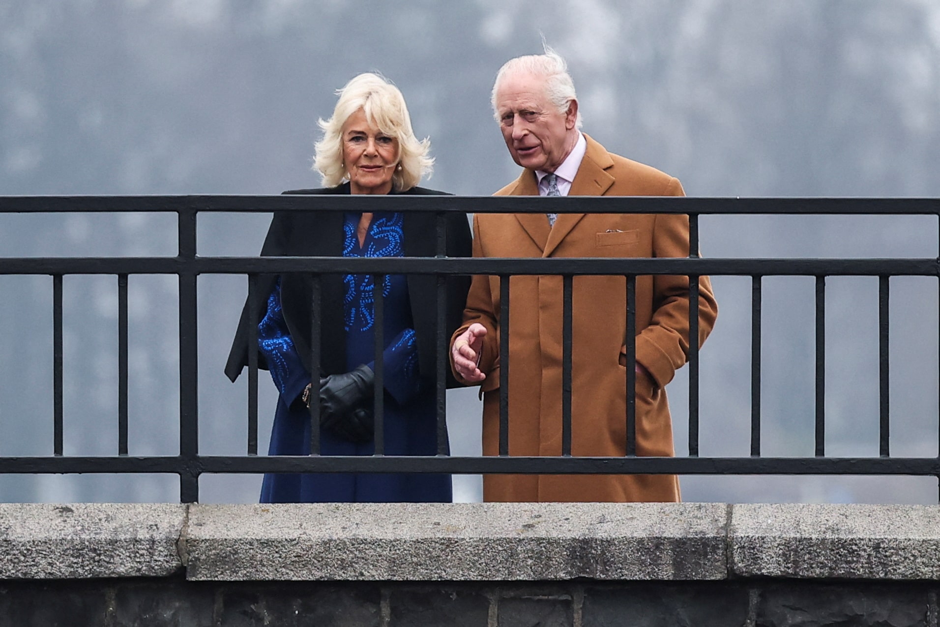 英国王夫妻のバチカン訪問中止、ローマ教皇の療養で