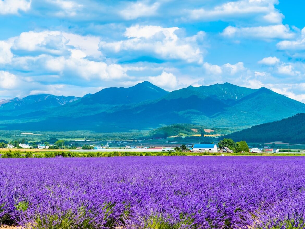 「来世はここに生まれたい」と思う都道府県ランキング！ 2位「北海道」を大差で抑えた1位は？ - All About ニュース