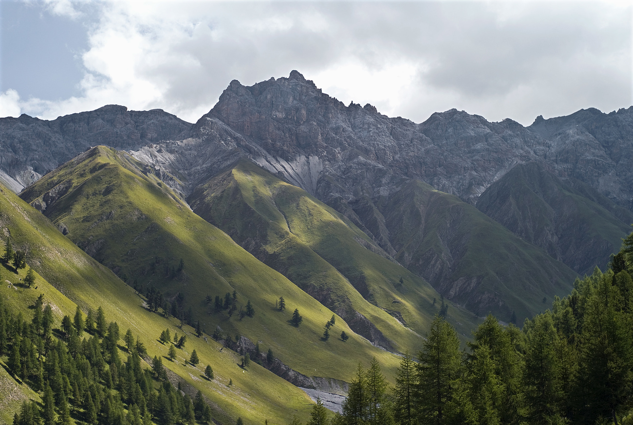 山