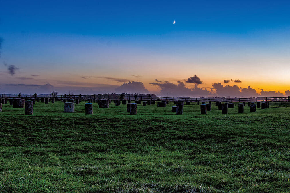 「紀元60年頃の夫婦の暮らし」すらありありと…最新技術でこんなに変わった「考古学」の現場風景 – ニューズウィーク日本版 「紀元60年頃の夫婦の暮らし」すらありありと...最新技術でこんなに変わった「考古学」の現場風景 - ニューズウィーク日本版