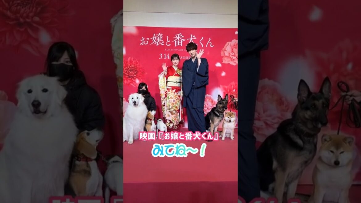 #福本莉子 番犬大集合『お嬢と番犬くん』