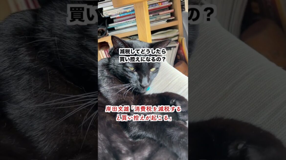 【は？】岸田文雄「消費税を減税すると買い控えが起こる」