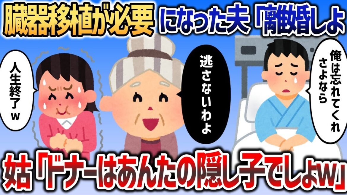 臓器移植が必要になった夫がいきなり離婚宣言→姑「ドナーはあんたの隠し子でしょｗバレてるのｗ」【2chスカッと】