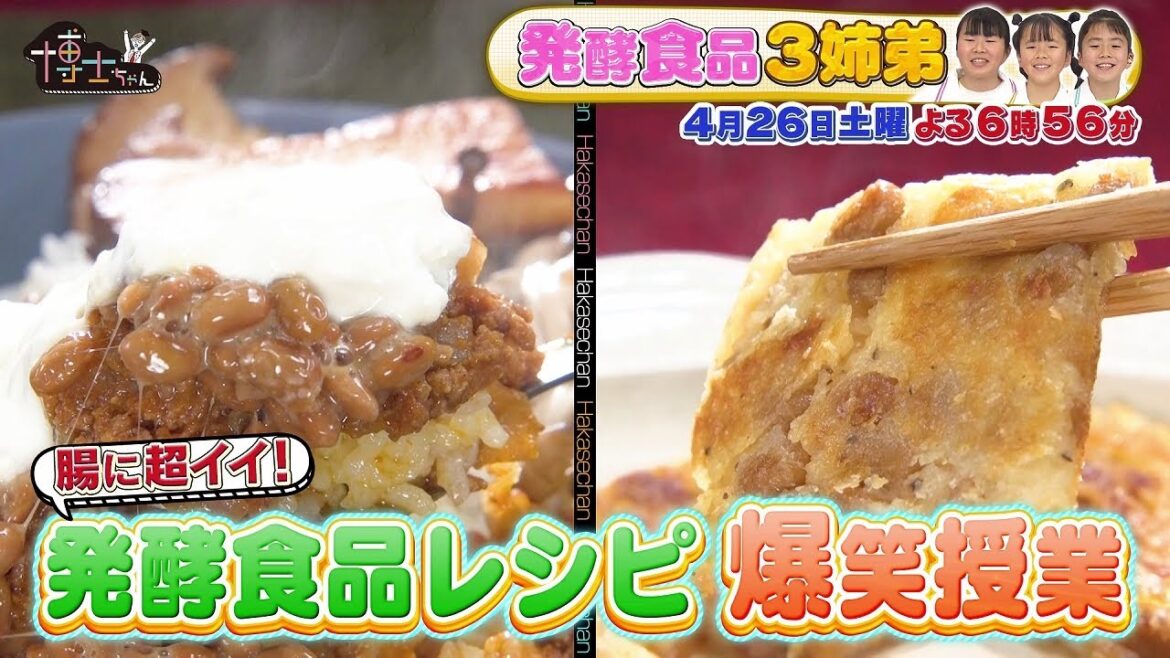 【サンドウィッチマン&芦田愛菜の博士ちゃん】2025年4月26日放送