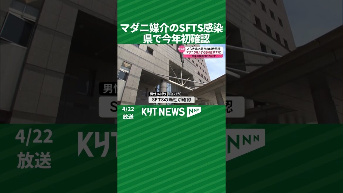 マダニ媒介のSFTS感染　県で今年初確認