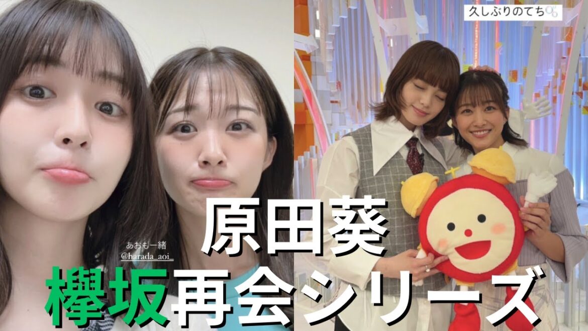 【原田葵】二人との再会 #長濱ねる #平手友梨奈