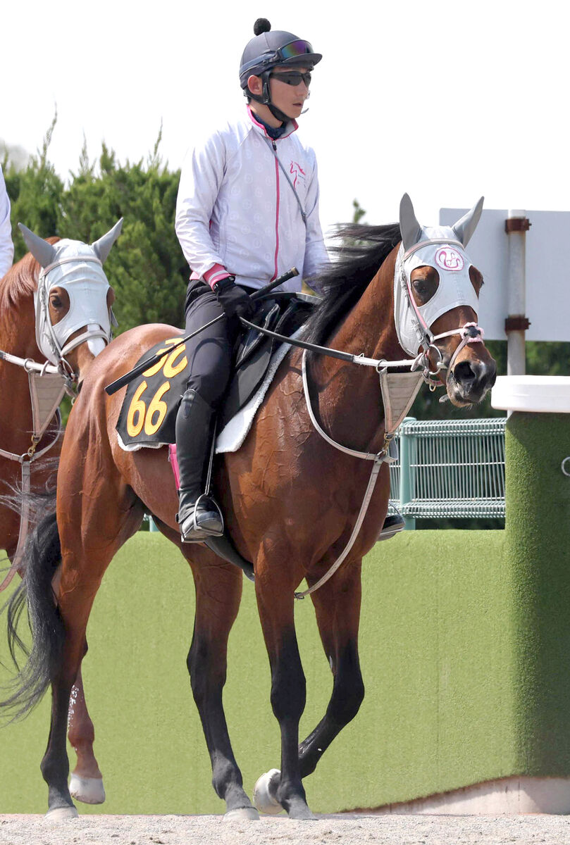 イミグラントソング