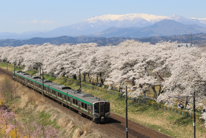 ニュース画像：E721系 2023年04月01日撮影 - 「宮城「白石川堤一目千本桜」、開花にあわせ東北本線で速度低下運転 JR東日本」
