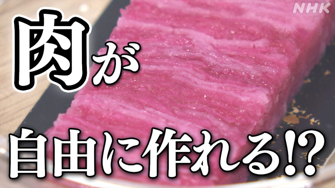 “肉を家庭で作る未来”「培養肉」大阪・関西万博で展示 – nhk.or.jp “肉を家庭で作る未来”「培養肉」大阪・関西万博で展示 - nhk.or.jp