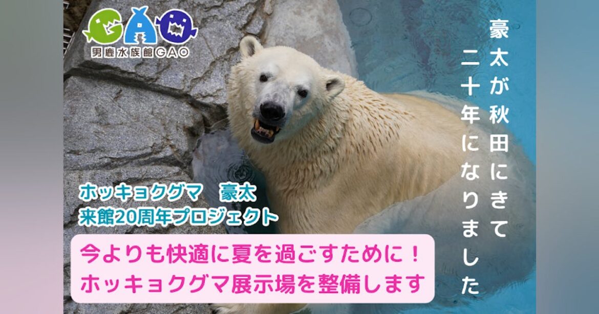 秋田・男鹿水族館　豪太とモモが今よりのびのび過ごせるように！みんなで作る展示場 - CAMPFIRE (キャンプファイヤー)
