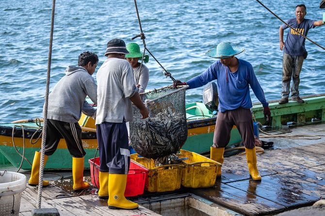 魚をとる漁師