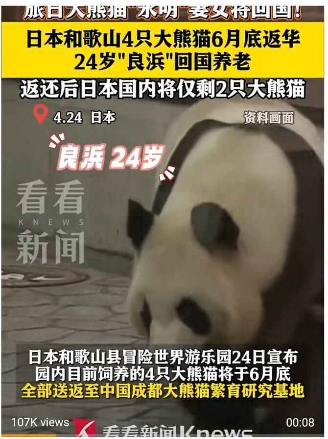 和歌山のパンダ返還は中国でも報じられた（中国の看看新聞のSNSより）