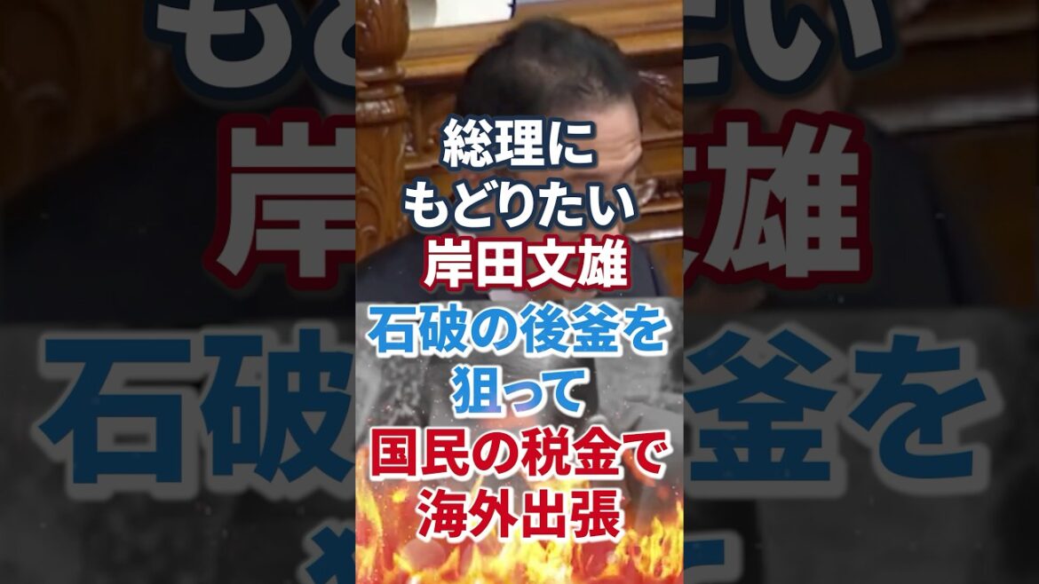 【増税メガネ】岸田文雄 再登板ねらう｜石破の後釜【消費税減税｜日本人ファースト】国見民主党｜玉木雄一郎｜減税｜一律給付金｜生活保護