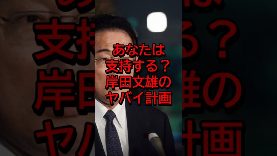 あなたは支持する？岸田文雄のヤバイ計画#自民党 #岸田文雄 #shorts