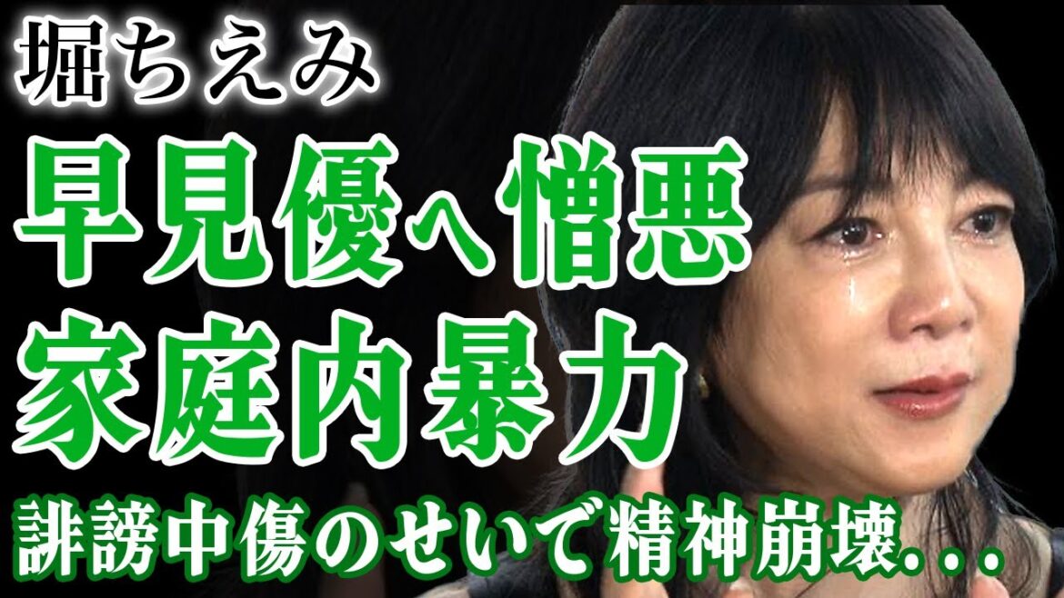 堀ちえみの早見優への憎悪の真相...元旦那たちから受けた家庭内◯力に言葉を失う！「さよならの物語」で知られる歌手が子供と絶縁させられた真相...数々の誹謗中傷により精神崩壊した現在に驚きを隠せない