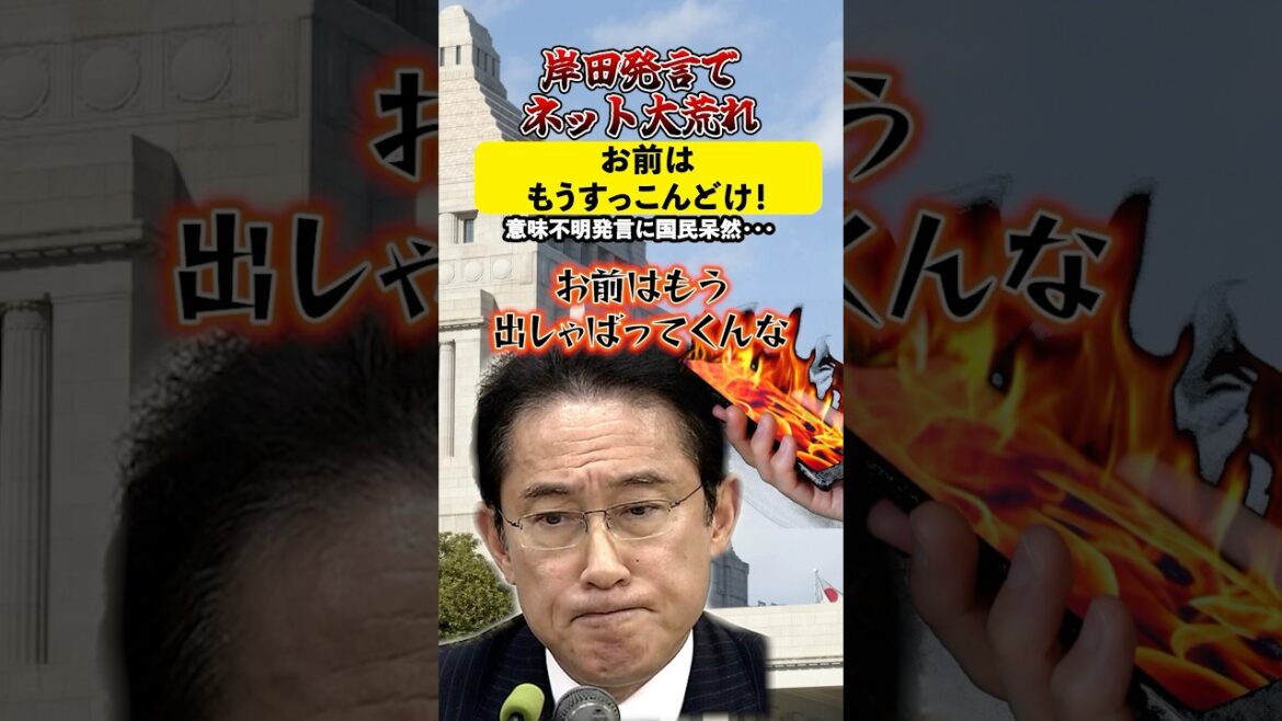岸田の意味不明発言にネット大荒れ！！「お前はもうすっこんどけ！」#岸田文雄 #減税 #意味不明 #自民党