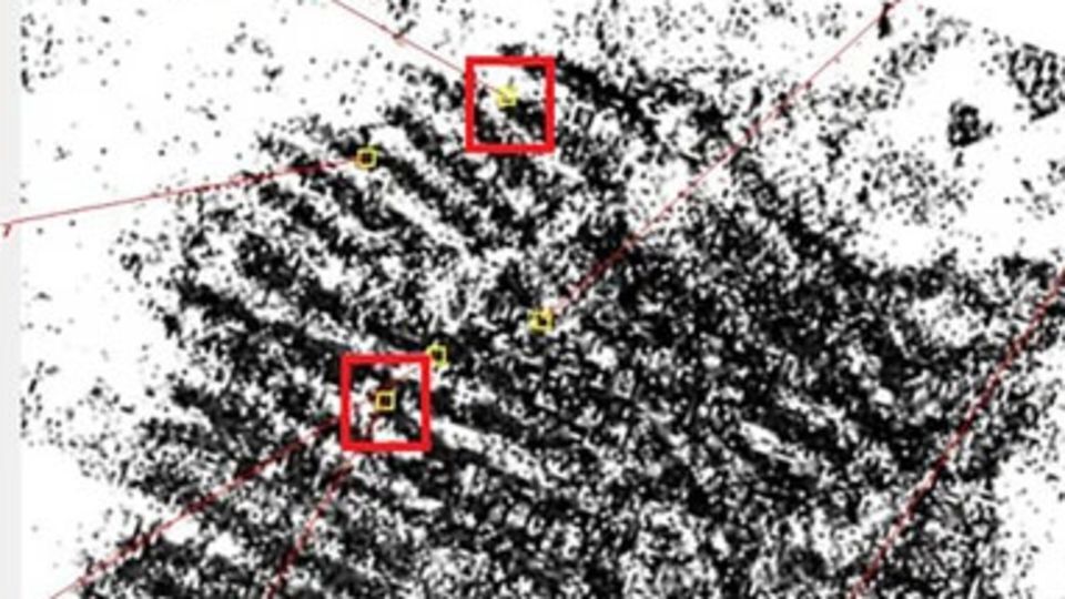 自動生体認証システム（ＡＢＩＳ）を用いた指紋の分析画像/Herrero, A. et al./Springer Nature
