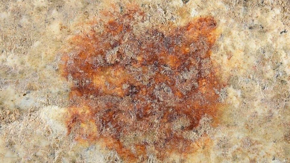 赤い点の拡大画像。石に付着した年代は４万３０００年前で、ホミニン（ヒト族）の完全な指紋としては最古のものとなる可能性がある/Herrero, A. et al./Springer Nature