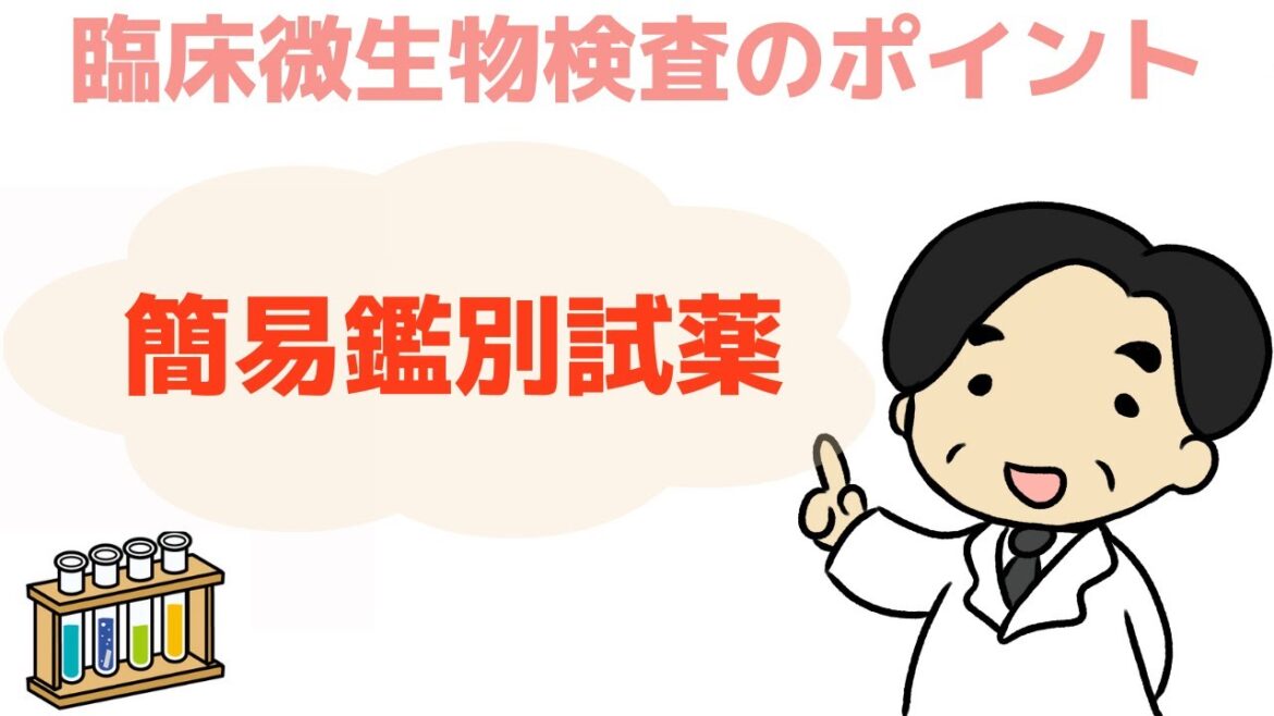 【簡易鑑別試薬】〜誰でもわかる臨床微生物検査のポイント〜