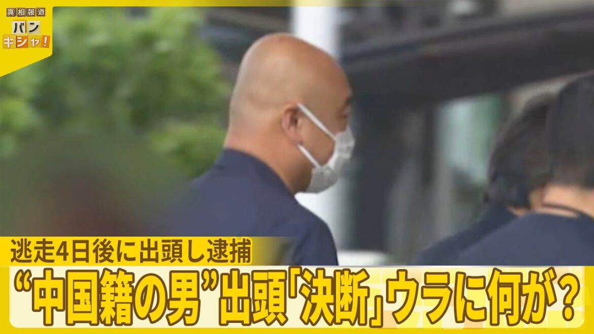 【埼玉・三郷市】小学生“ひき逃げ” か  42歳の中国籍の男逮捕『バンキシャ!』 【埼玉・三郷市】小学生“ひき逃げ” か  42歳の中国籍の男逮捕『バンキシャ!』