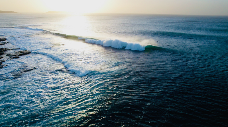 スクリーンショット 2025-05-28 7.03.13