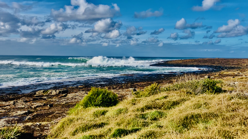 スクリーンショット 2025-05-30 4.16.44