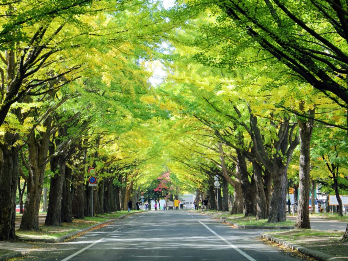 育ちが良さそうな印象がある北海道・東北の国立大学ランキング！ 1位「北海道大学」、2位は？ - All About ニュース