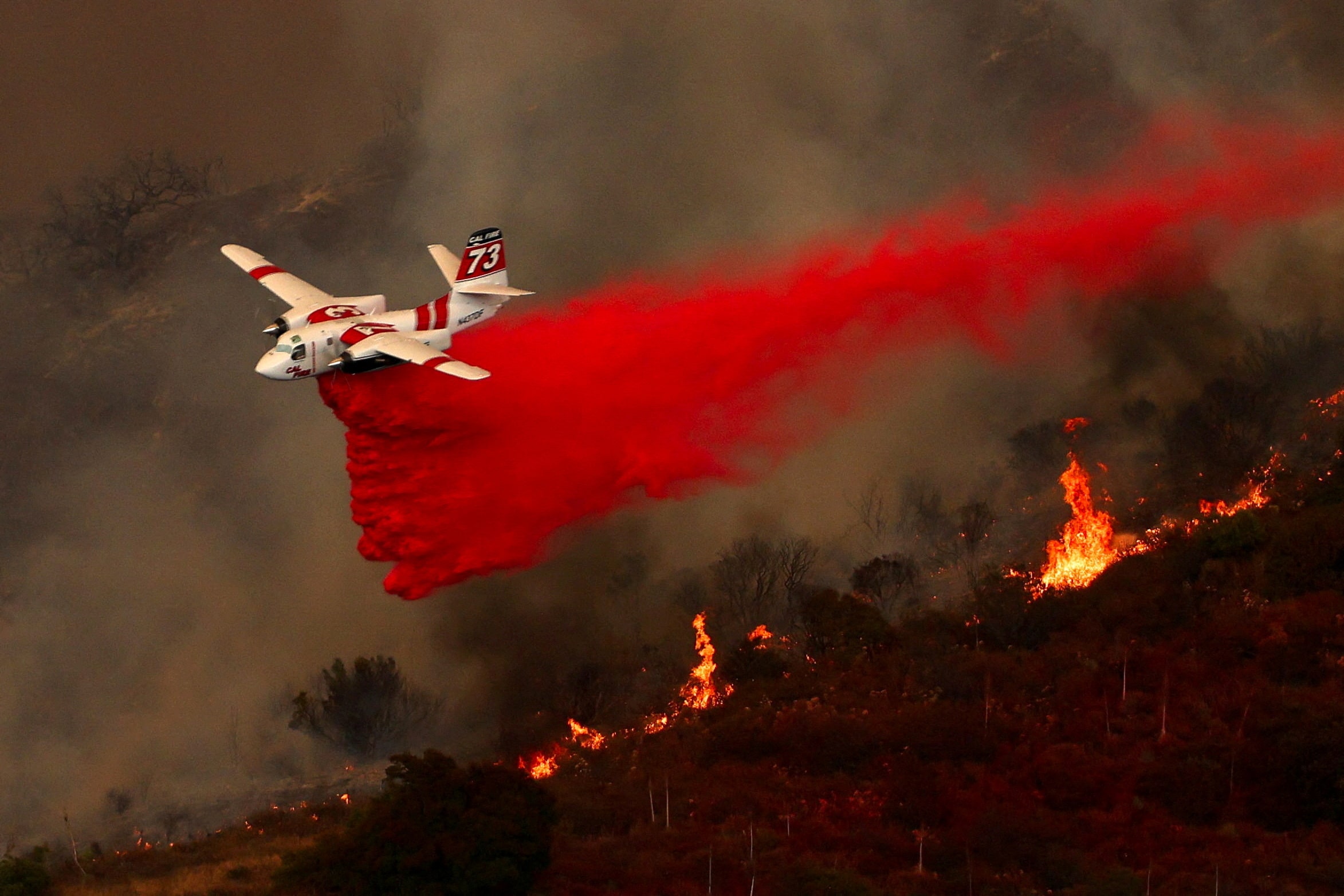アングル：トランプ政権の予算削減案で米環境研究に暗雲、山火事対策に影響も