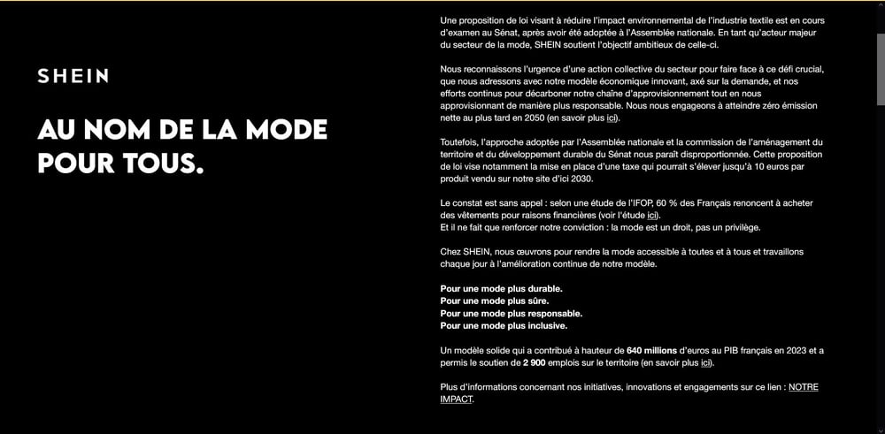 シェインがロビー活動のために開設したウェブサイト「pour-une-mode-accessible.fr」のスクリーンショット。クレジット：シャイン