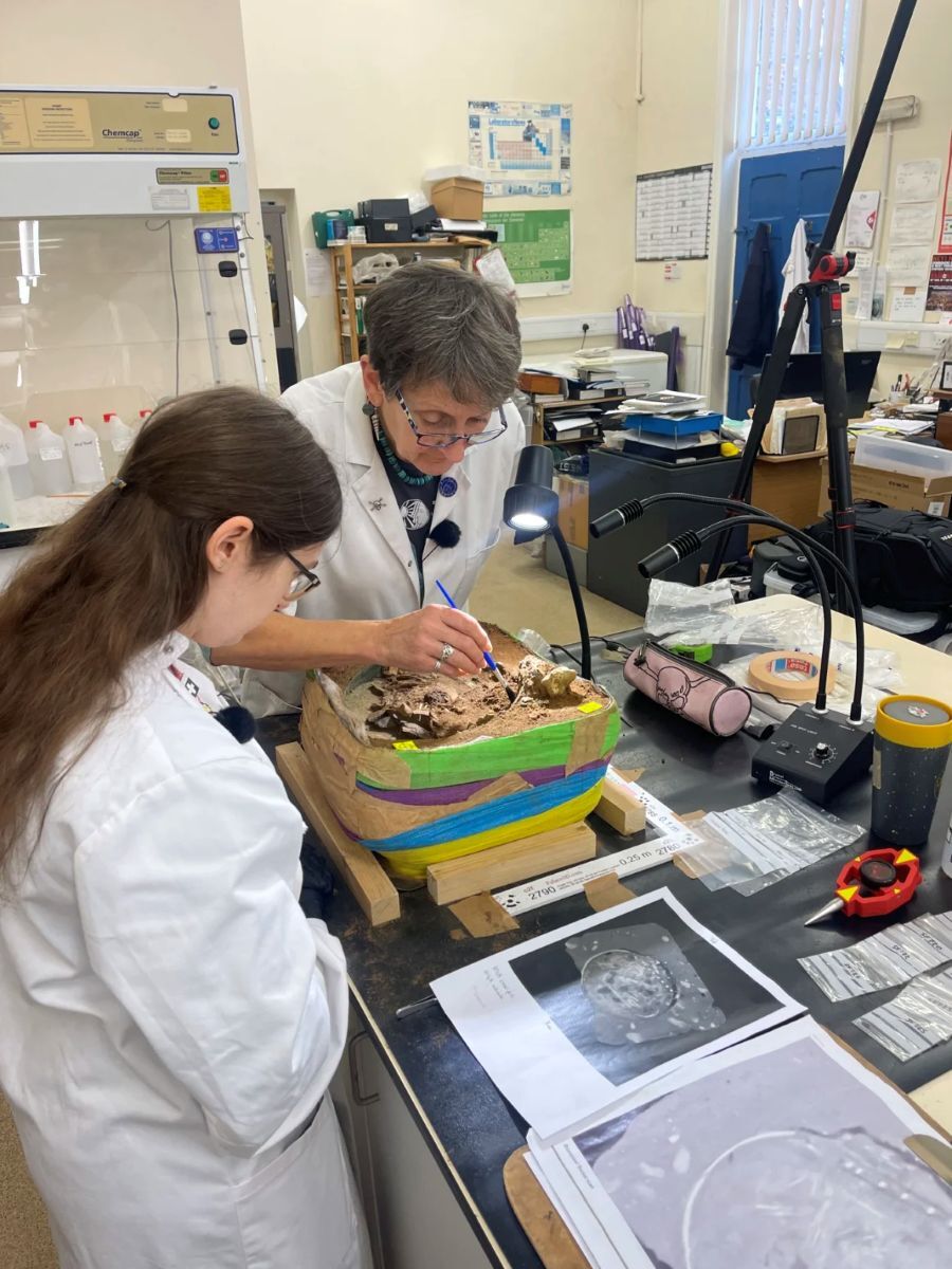 細い筆を使って、容器の中身の表面に付着した埃を丁寧に取り除いていく研究者ら/FAS Heritage