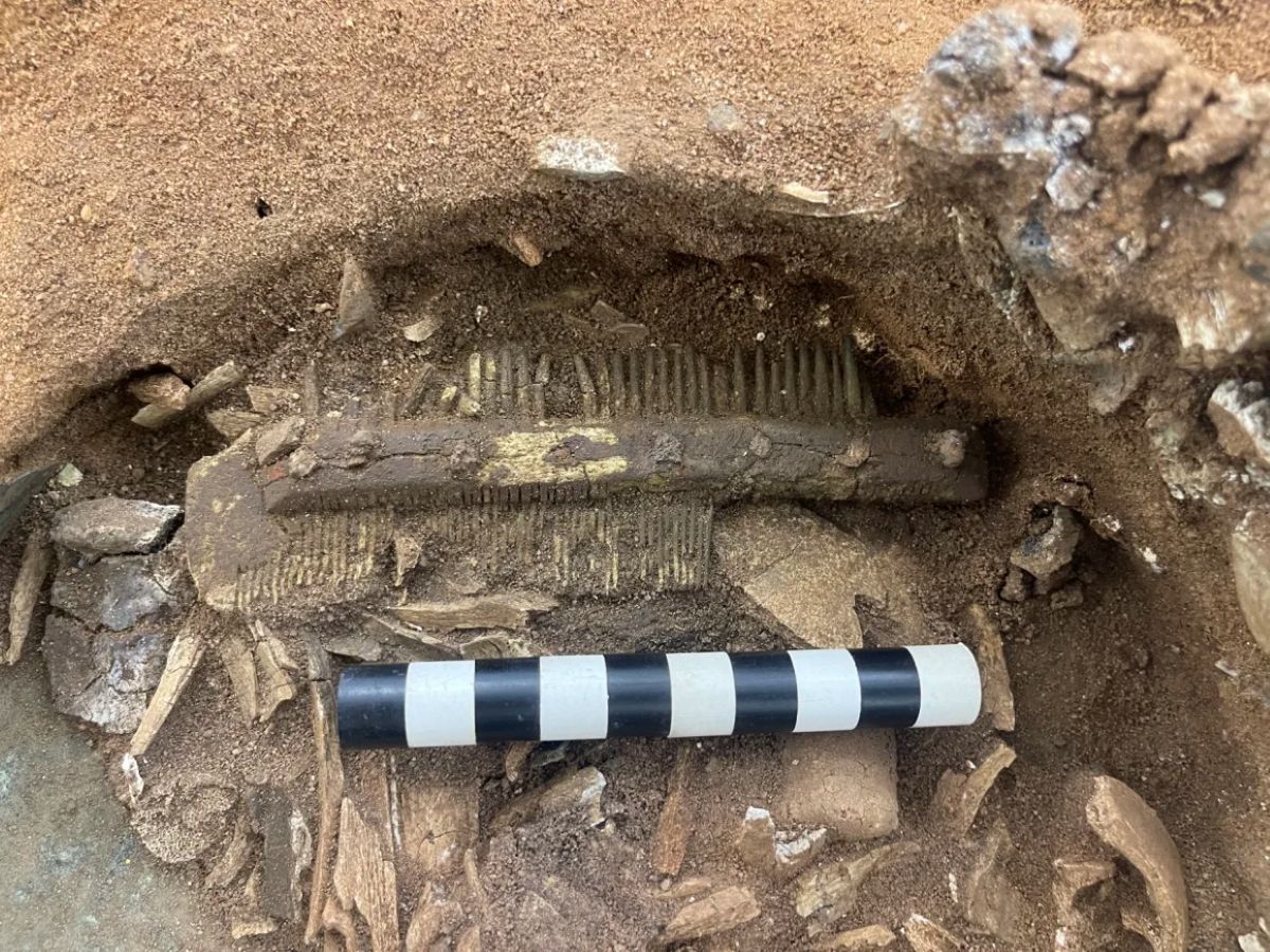 両側に歯が並んだ櫛は、現地の強酸性の土壌を考慮すれば驚くほど保存状態が良い/FAS Heritage