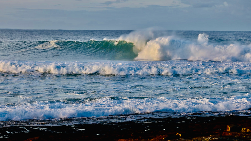 スクリーンショット 2025-05-30 12.36.42
