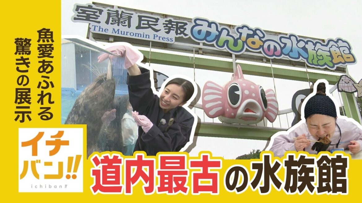 SODANE - 水族館の魚を食べる！？レトロ感満載の北海道最古の水族館　魚愛あふれる飼育員の驚きの展示とは？