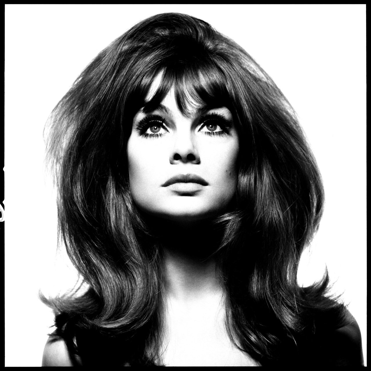 Photo David Bailey