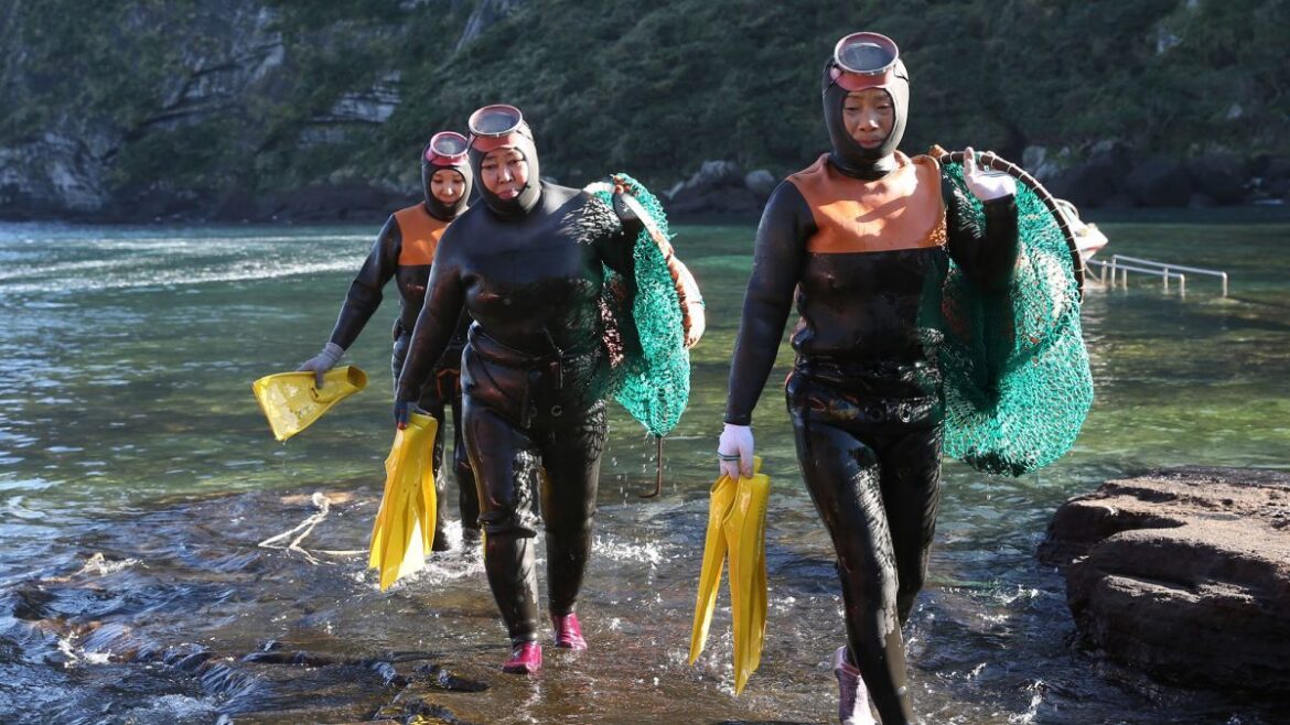 韓国・済州島の女性潜水士、水中活動向けに体質進化か　科学者が新たな証拠つかむ - CNN.co.jp