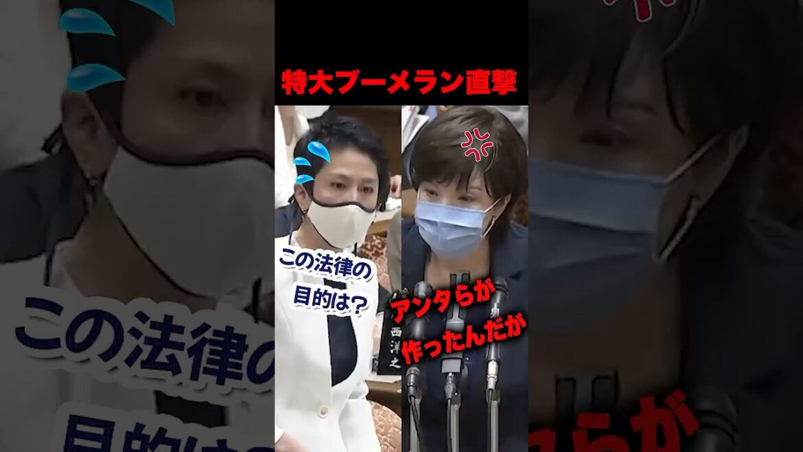 蓮舫を返り討ちにする高市早苗。静かな反撃が痛快すぎた件   #蓮舫 #高市早苗