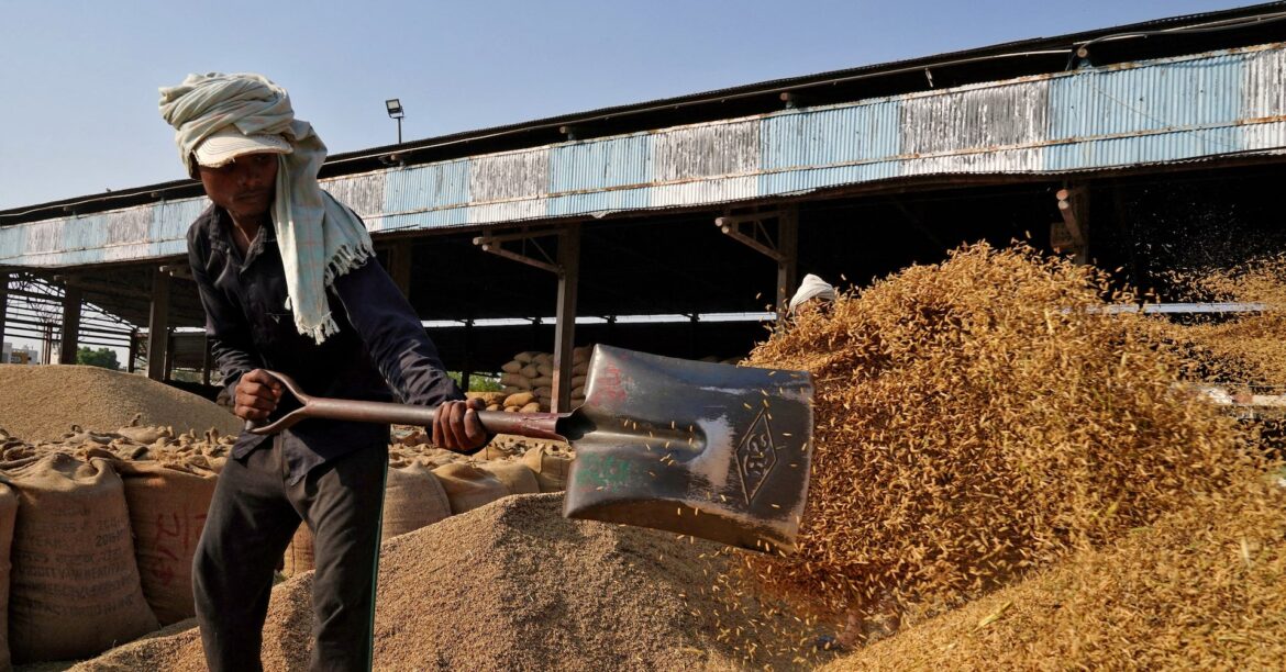 今年度のインド成長率、けん引役は農村部の消費=エコノミスト | ロイター 今年度のインド成長率、けん引役は農村部の消費=エコノミスト | ロイター