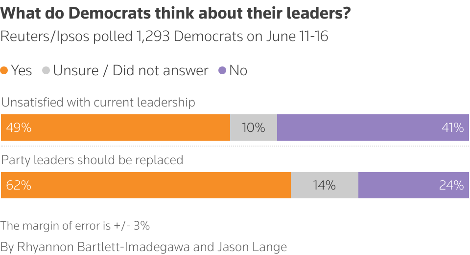 A bar chart showing how Democrats view their party