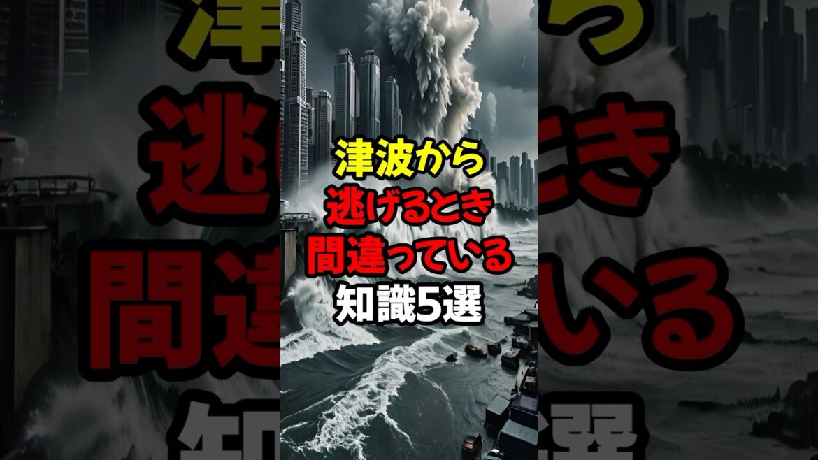 【勘違い】津波から逃げるとき間違っている知識５選#津波#地震#都市伝説#怖い話#雑学