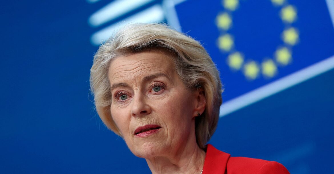 ＥＵ高官、ＴＰＰとの協力がＷＴＯ代替につながるとの見方否定 | ロイター