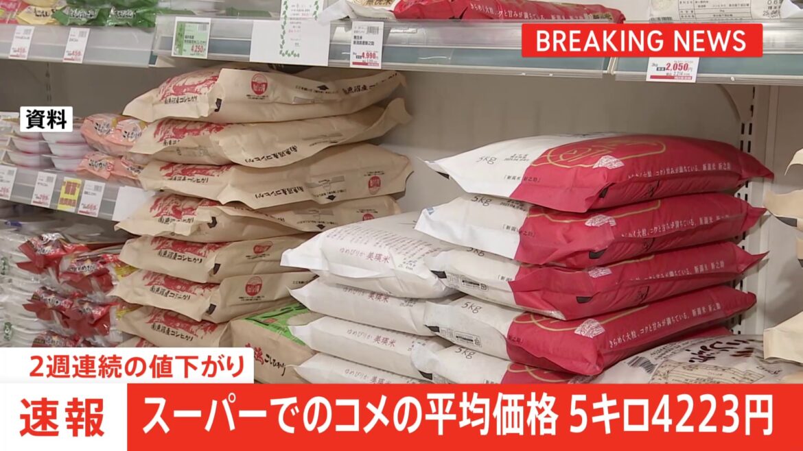 【速報】コメ平均価格5キロ4223円　2週連続の値下がり（TBS NEWS DIG Powered by JNN）