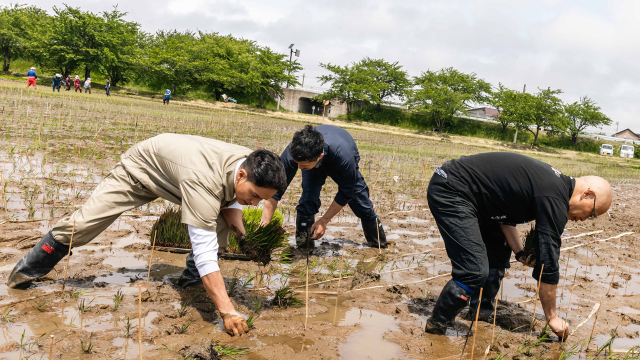 市原隼人 青森「弥生の里」にサプライズで田植え！『おいしい給食 炎の修学旅行』3