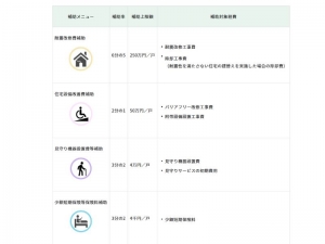 貸主応援事業はこれまで個々に申請を出さないといけなかったものがパッケージ化されて利用しやすくなった（東京都ホームページより引用）