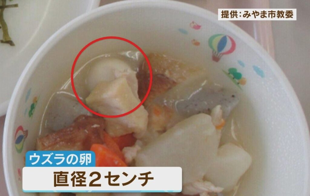 共有